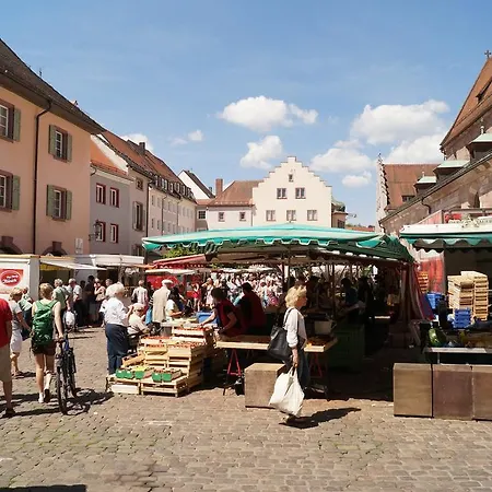 Loft Style 3 + Terrace